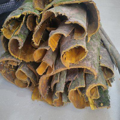 销售黄柏皮