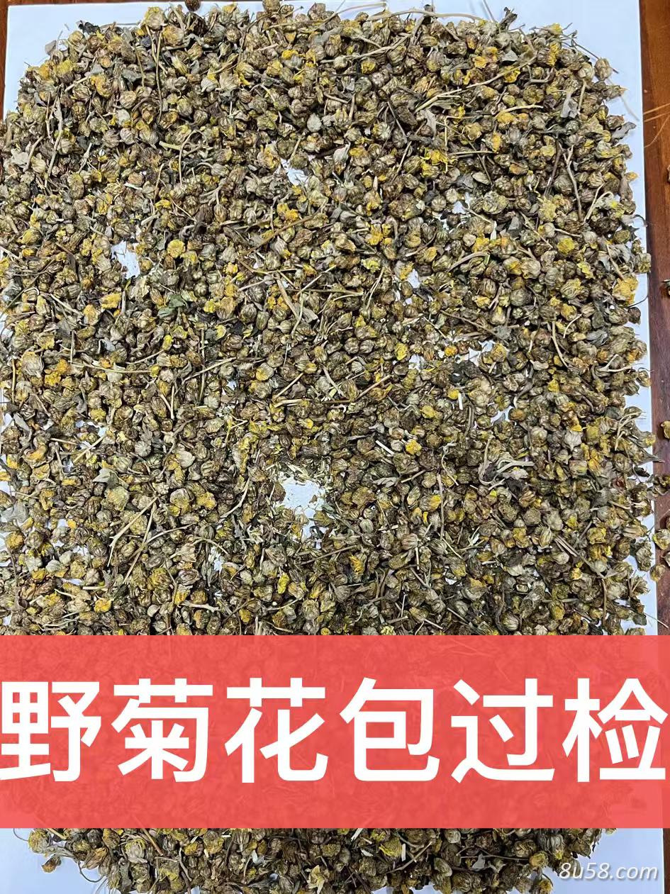 野菊花