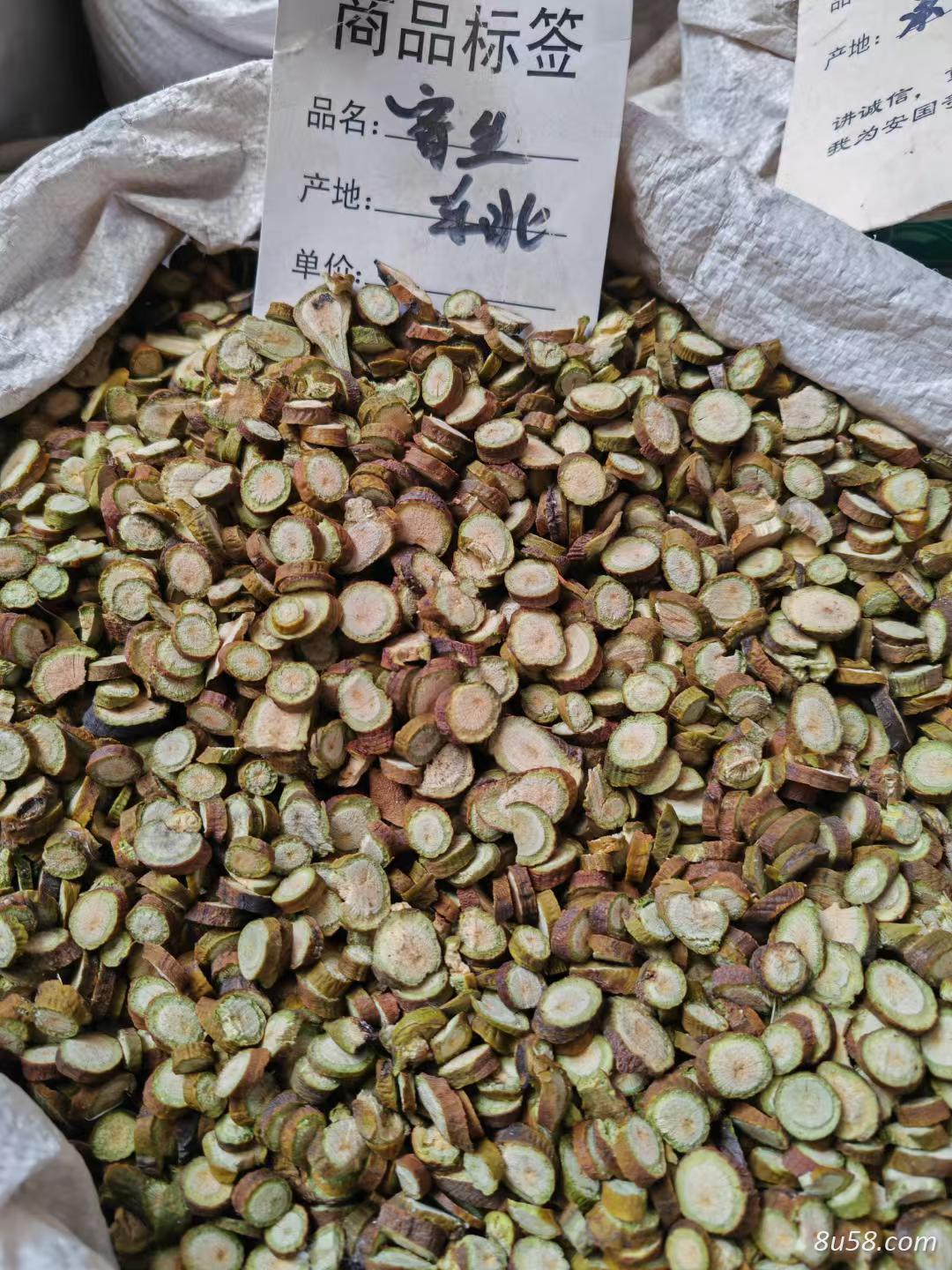 寄生