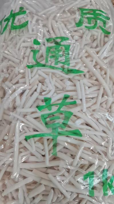 小通草