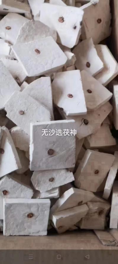 茯神