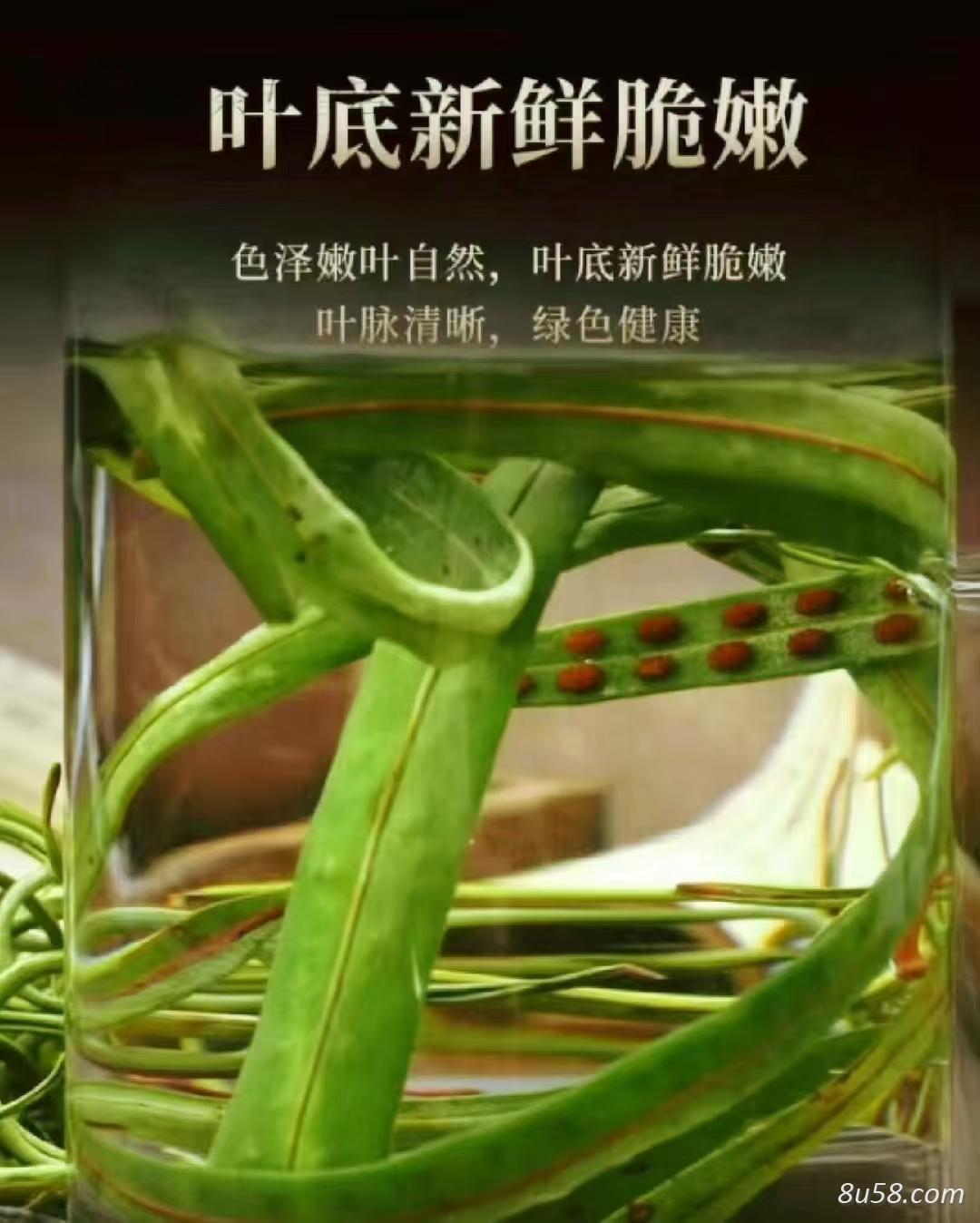 化石草