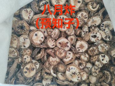 八月扎一公斤多少钱？我要买八月扎哪里有？安国八月炸销售