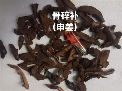骨碎补别名 骨碎补一斤多少钱？骨碎补产地是哪里？申姜哪里能买到买到