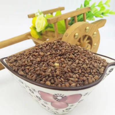 苦荞