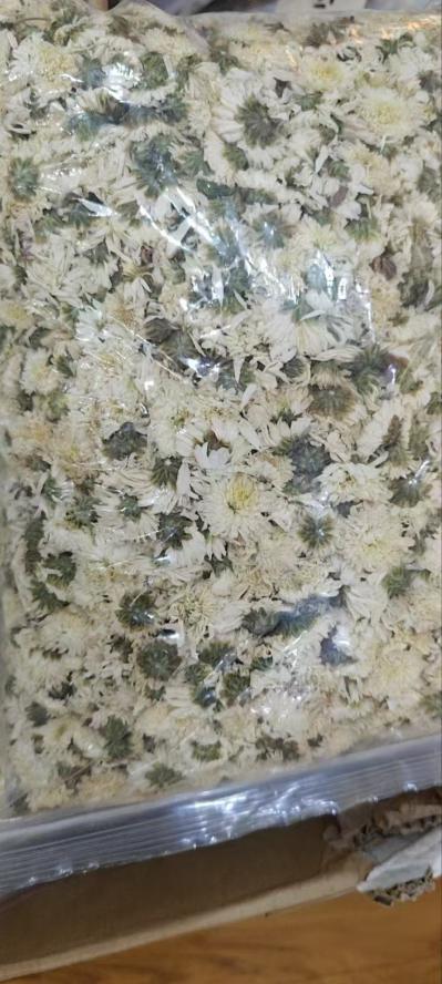 杭白菊