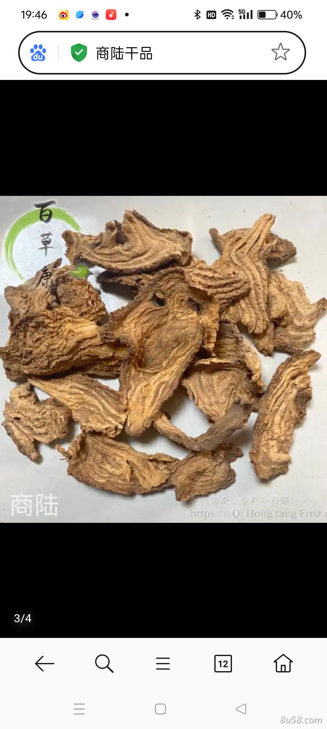 商陆干品大量供应
