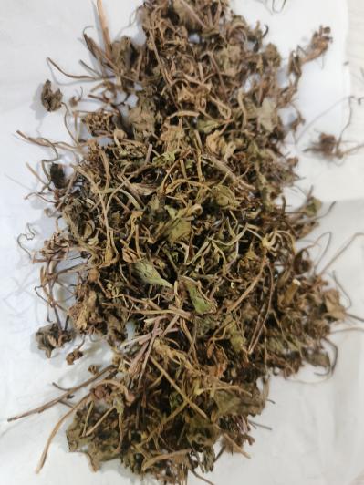 积雪草哪里有卖的？积雪草功效作用有哪些？冷背大全专营