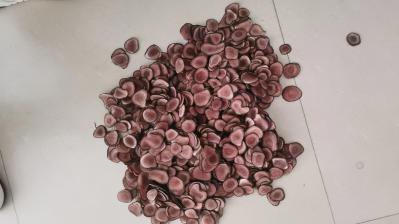 鹿茸红沙片