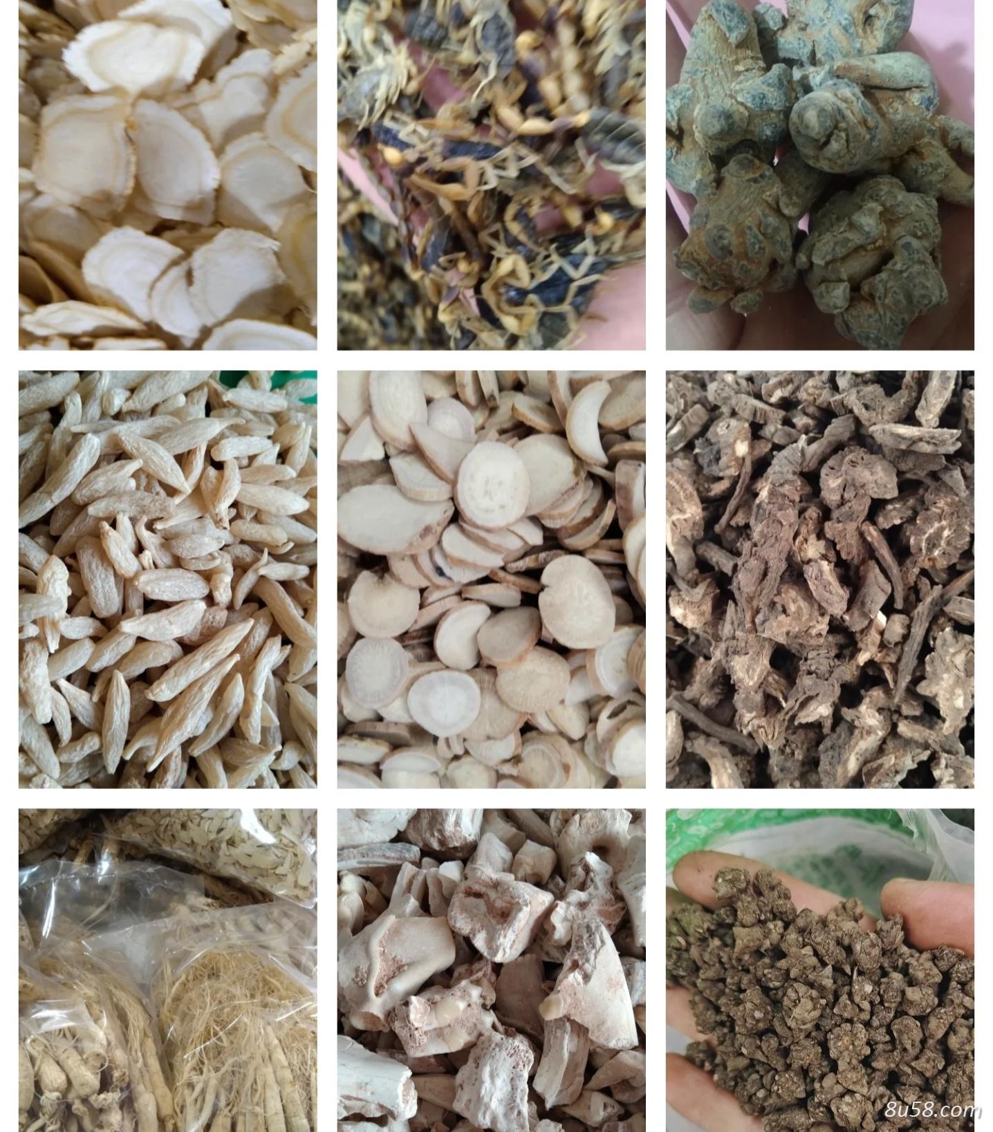 麦冬