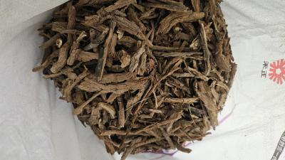 甘肃野生地骨皮