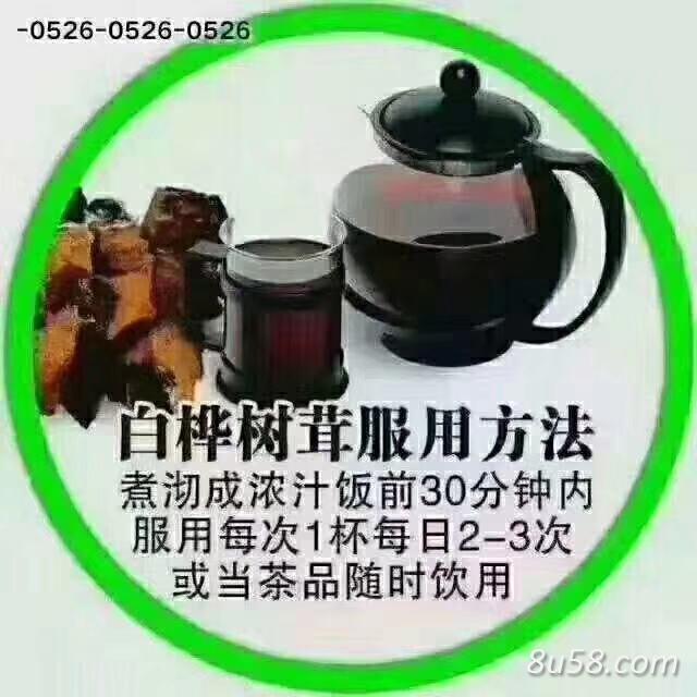 桦树茸