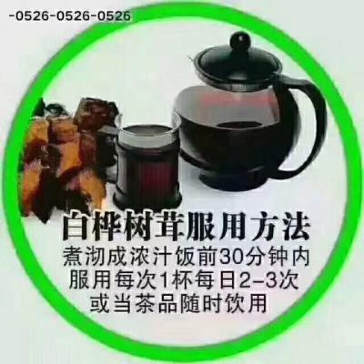 桦树茸