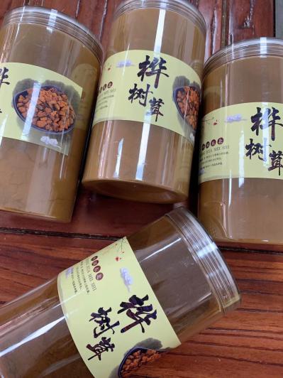 黑金桦树茸
