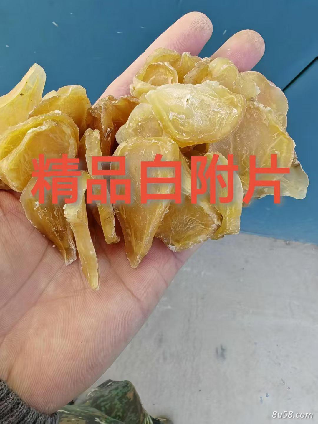 白附片