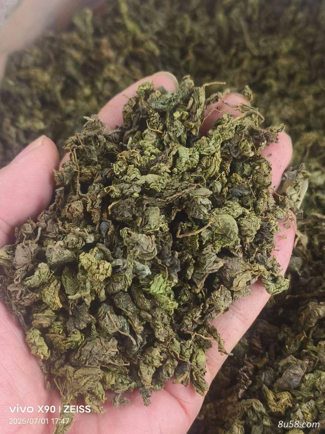 绞股蓝茶