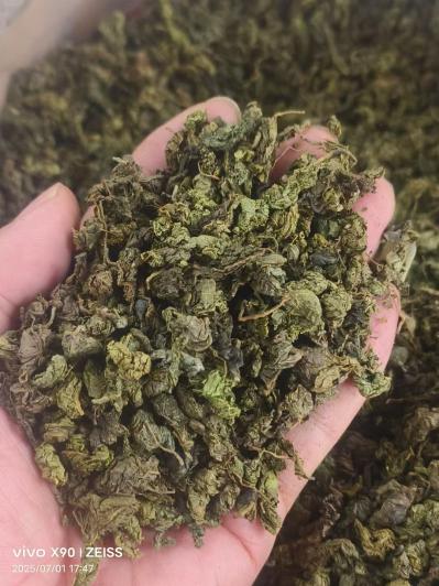 绞股蓝茶