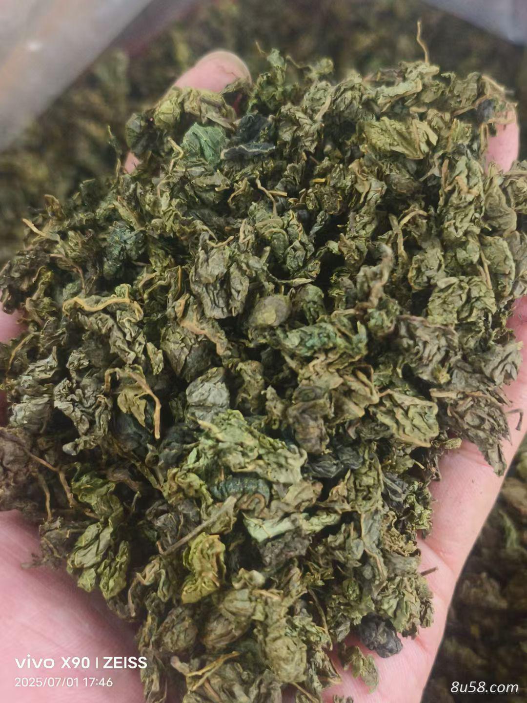 绞股蓝茶