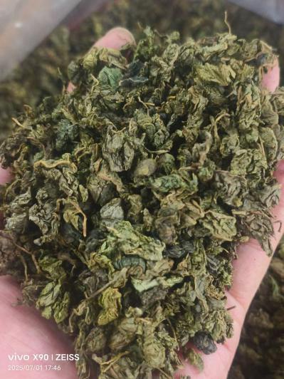 绞股蓝茶