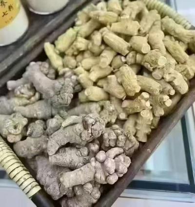 西洋参