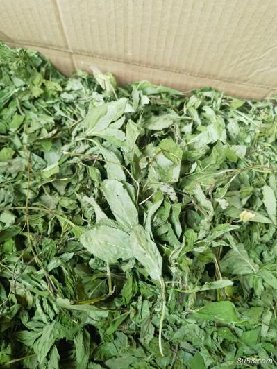 薄荷叶茶