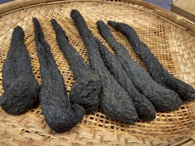 肉苁蓉