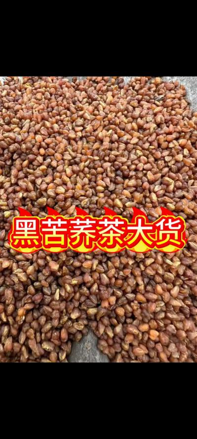 黑苦荞