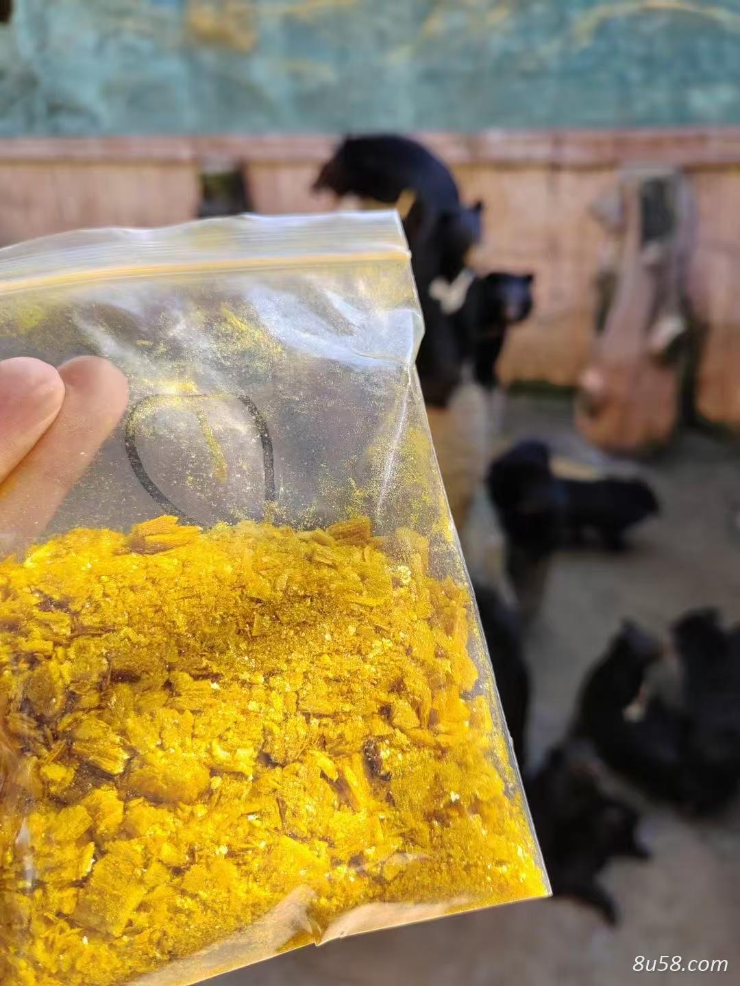 熊胆粉