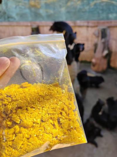 熊胆粉