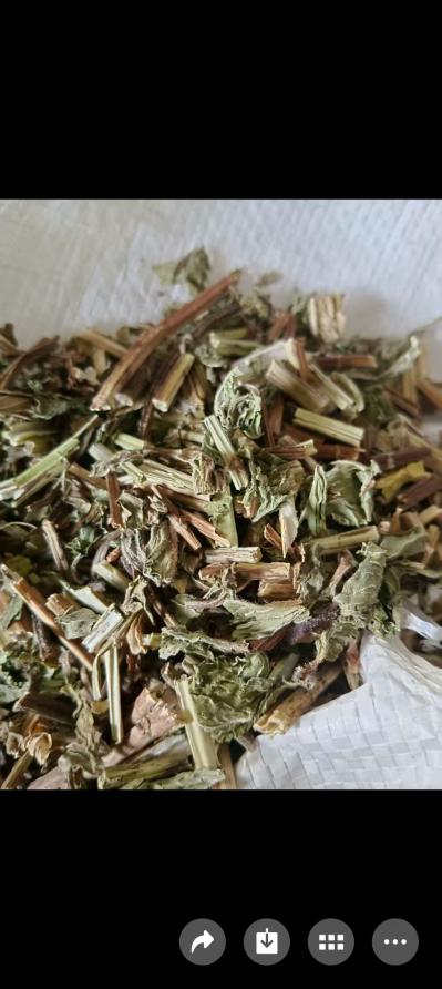 薄荷