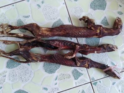 一只中药材黄鼠狼干,黄鼬干卖的价格-孙国华