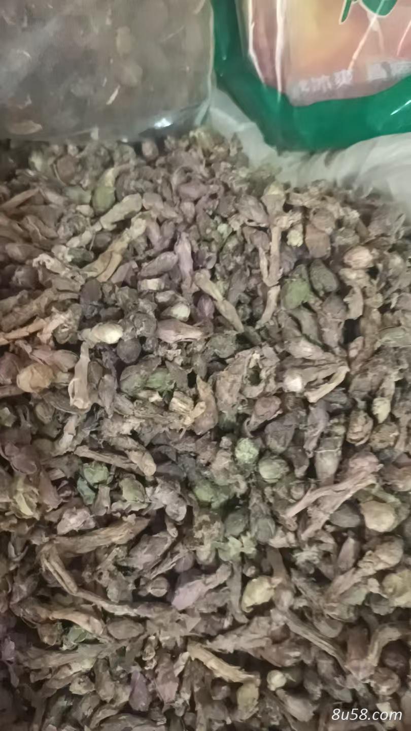 款冬花