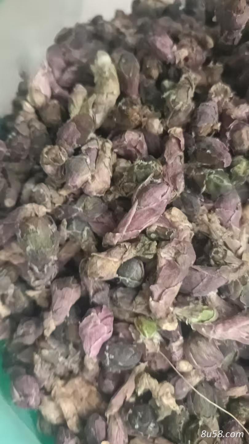 款冬花