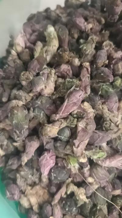 款冬花