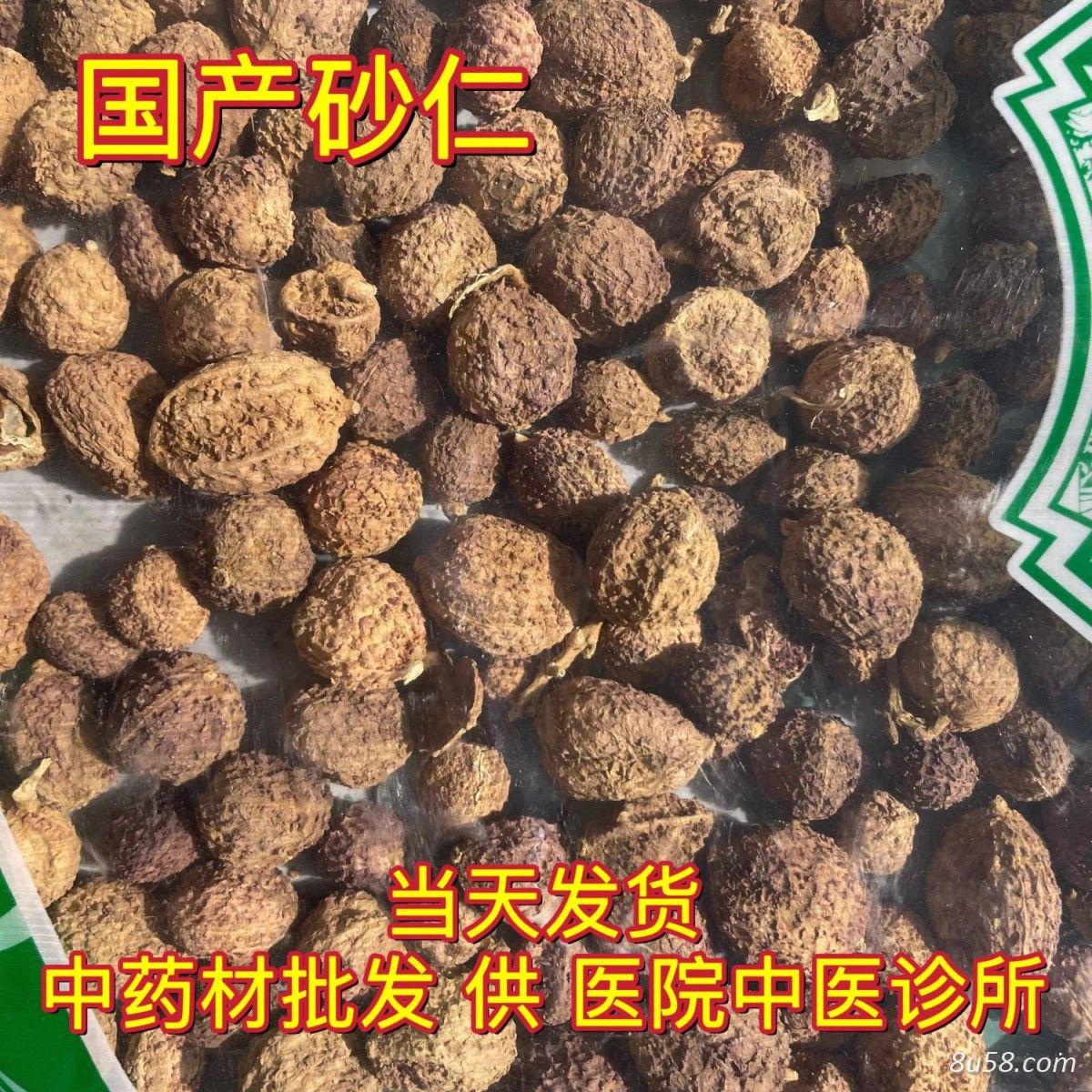国产砂仁