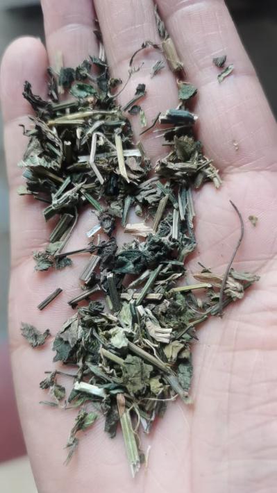 鸡娃草哪里有卖的？鸡娃草一斤多少钱？我想买正宗鸡娃草多少钱？