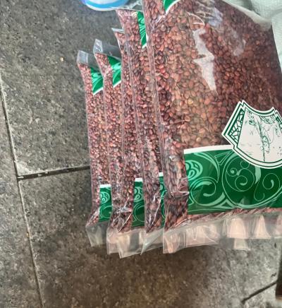 酸枣仁