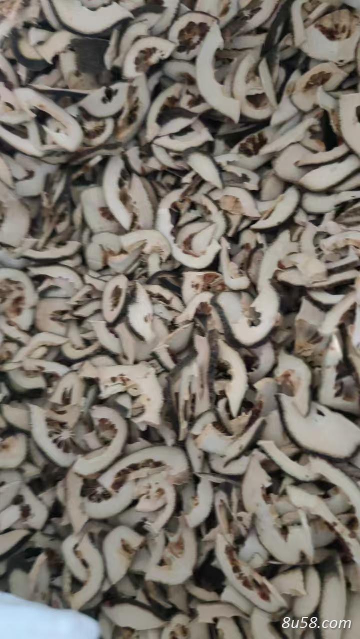 枳壳