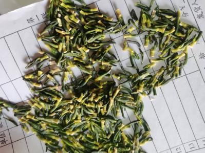 莲子芯