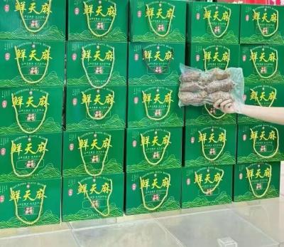 鲜天麻
