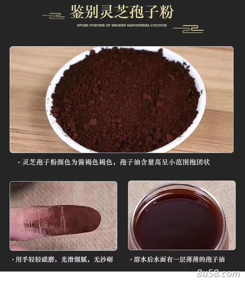 灵芝孢子粉