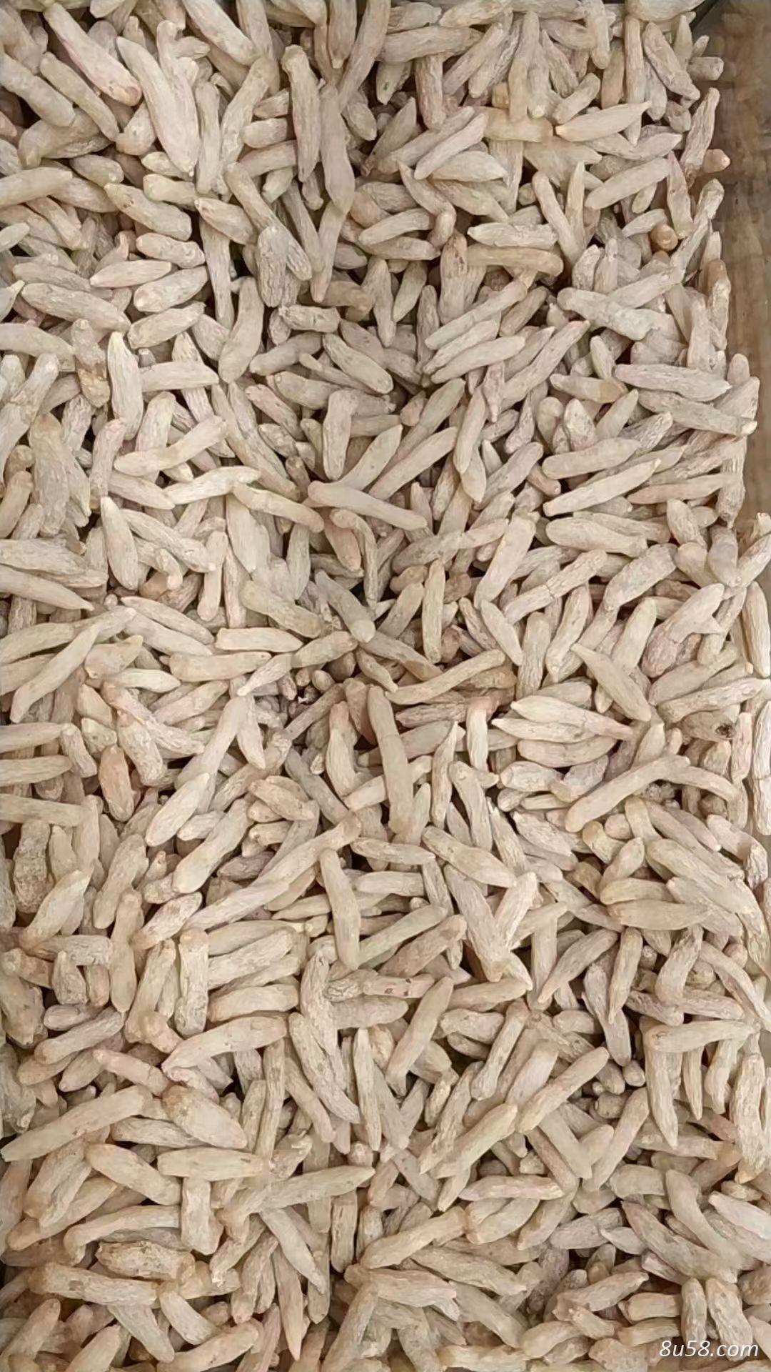 麦冬