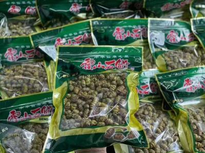 霍山石斛