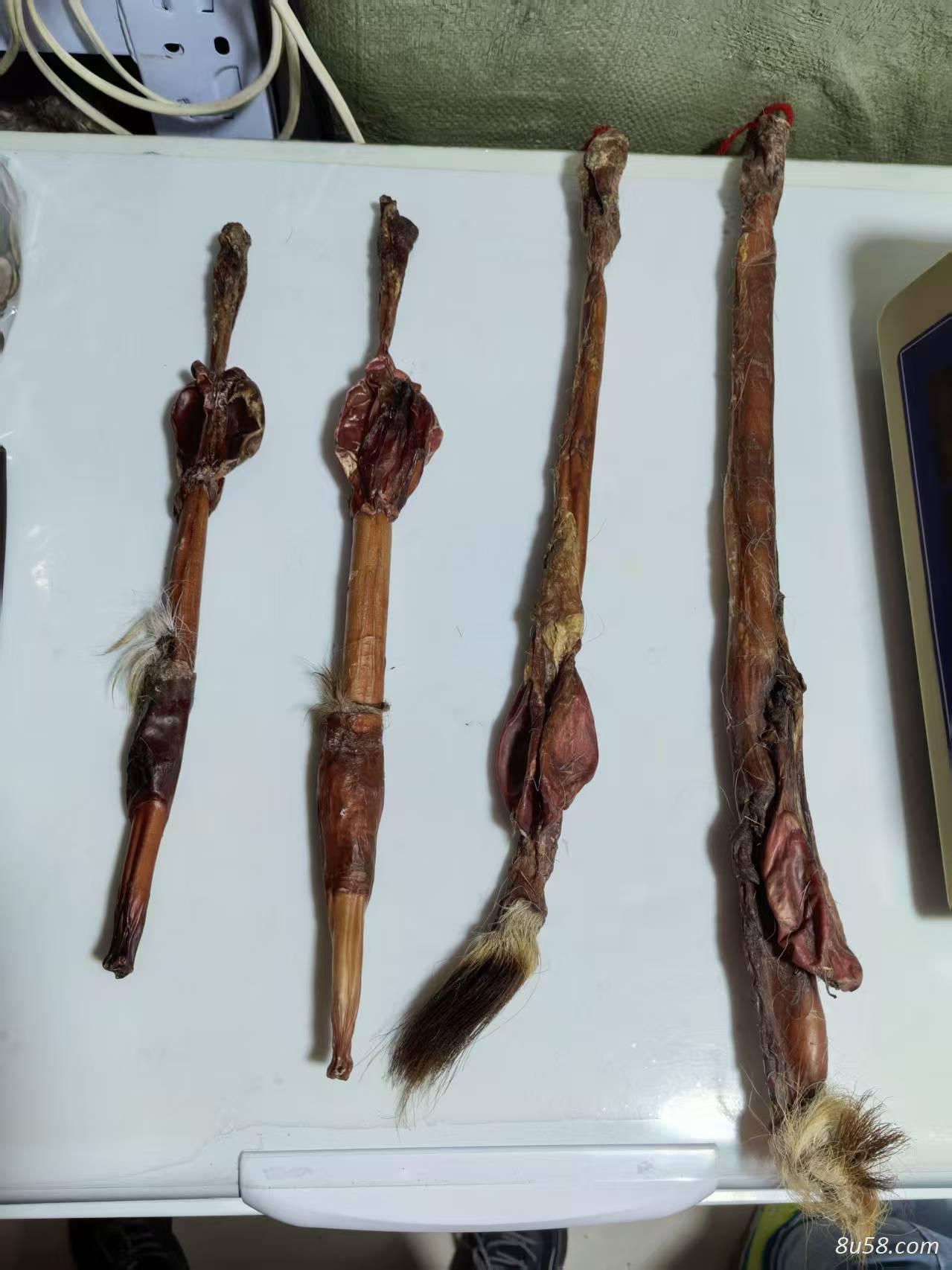 鹿鞭