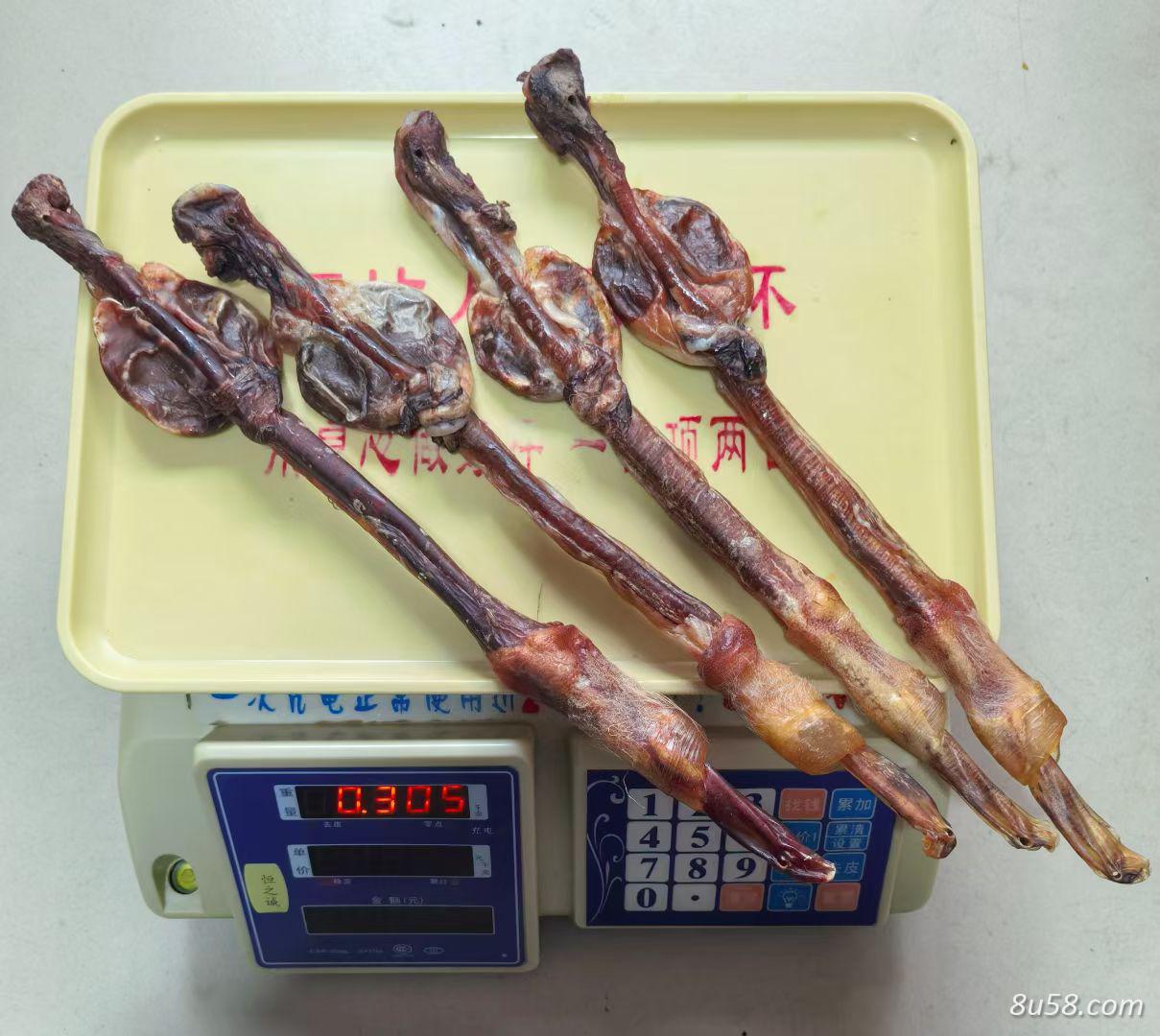 鹿鞭