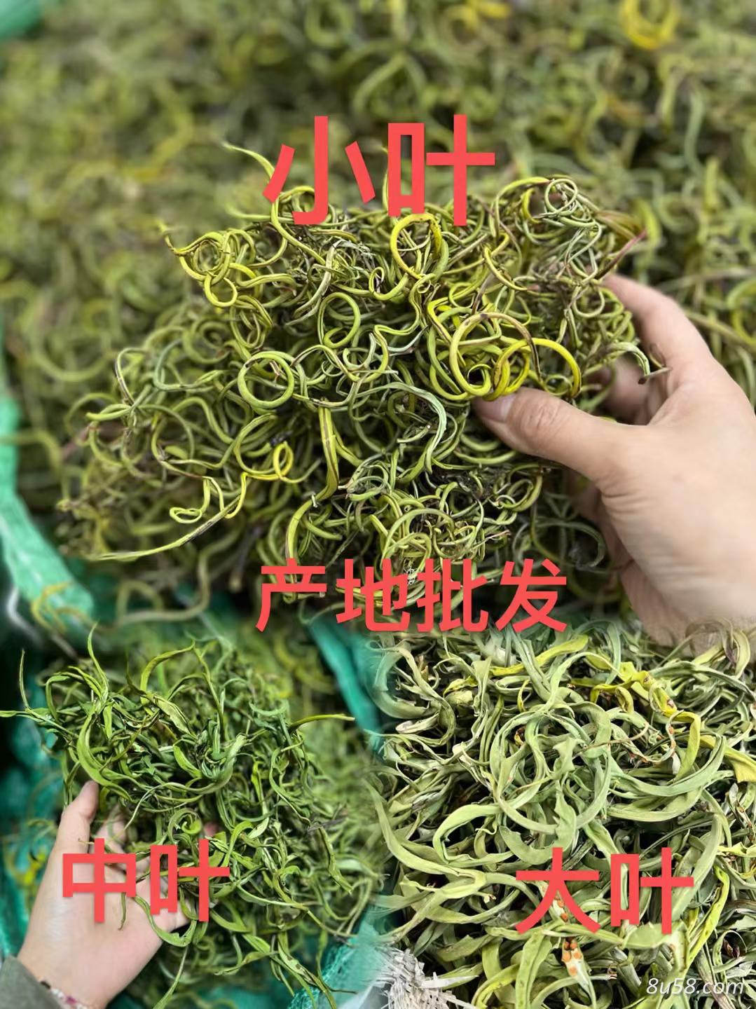 化石草