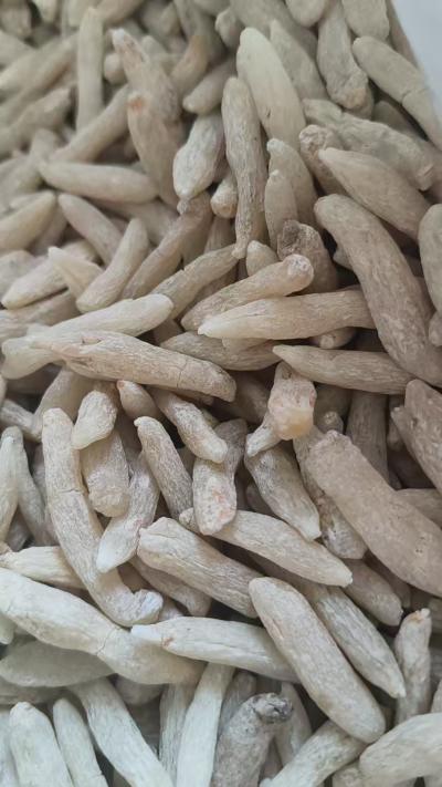 麦冬图片 麦冬长什么样？哪里的麦冬药效高？麦冬怎么用药效高