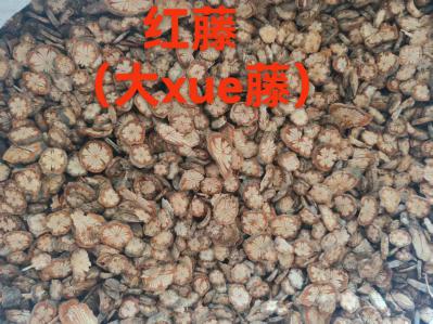 中药红藤（大血藤）是什么药材？买大血藤去哪里买？红藤和大血藤是一种药材吗？