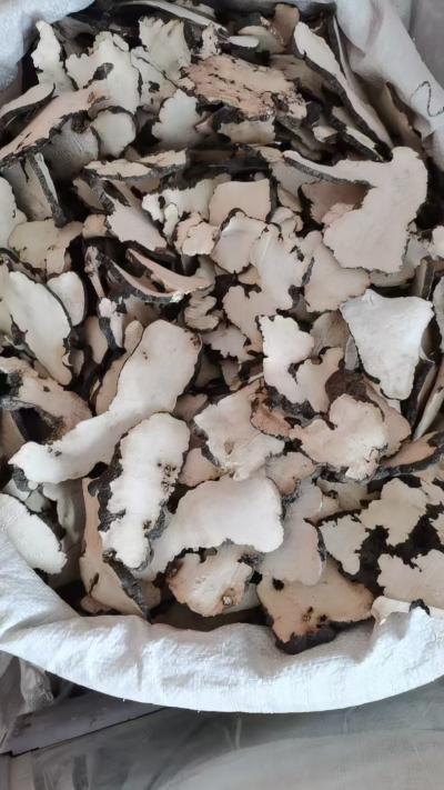 猪苓产地是哪里？猪苓一斤多少钱？猪苓功效作用有哪些？猪苓批发零售