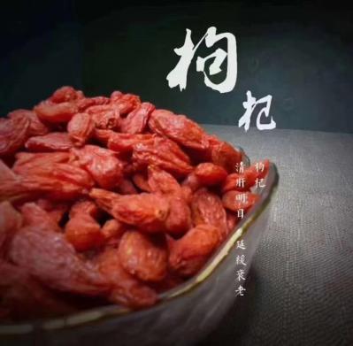 红枸杞